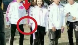 娱乐圈吃瓜三大定律,揭秘明星背后的真相与秘密